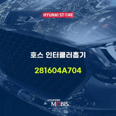호스 인터쿨러흡기 (281604a704) 현대모비스부품몰