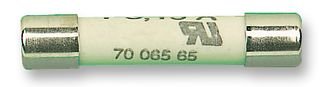 SIBA Ceramic Tube Time-Lag Cylindrical Fuse 7006565 2A T2A H500V