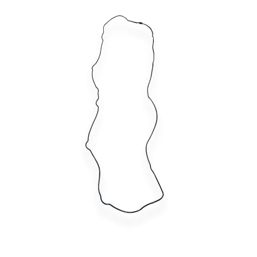 Intake Manifold Gasket for Volvo Truck D13 20805850