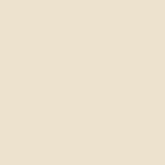Romabio Masonry Flat | Durable Paint for Brick, Stone & Hardie Board (Tropea Beige), 1 G