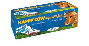 Halal Austrian Processed Cheese 2 Kg