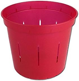 3" Slotted Clear Orchid Pots - 3 Pack (Ruby Red)