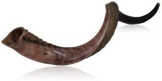 Original Antelope Kudu Horn Shofar 32"-34" Half Polished Natural Israel Judaica
