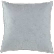 Greendale Home Fashions Premium Throw Pillow Insert, Single, 20" x 20"