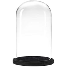 MyGift The Bell Jar Glass Cloche with Black Wood Base, 10 Inch Tall Clear Decorative Glass Dome Display for Plants, Curios, Keepsakes, Heirlooms