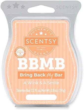 Scentsy A Wink & A Smile Bar