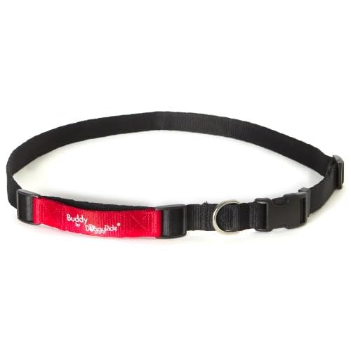 Jogging Belt, 26 to 32-Inch, SmallMedium