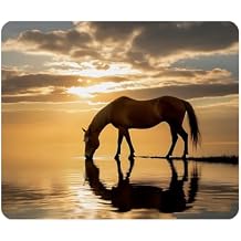 Gaming Mouse Pad Horse Nature Scenic Photo Non-Slip Rubber Mouse Pad for Computers, Laptop, Office, Home Rectangle Personalized Mousepad 9.5 Inch x 7.9 Inch