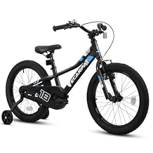 Kids' Bike 18 Inch Wheels with Removable Training Wheels,Front V Brake, Rear Holding Brake,1-Speed Boys Girls Child Bicycles for 3-5Years Multiple Colors
