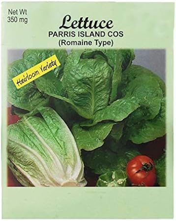 Set of 25 Lettuce- Parris Island Cos (Romane Type) Vegetable Seed Packs - 100% GMO Free - Heirloom - Black Duck Brand (25, Lettuce- Parris Island Cos (Romane Type))