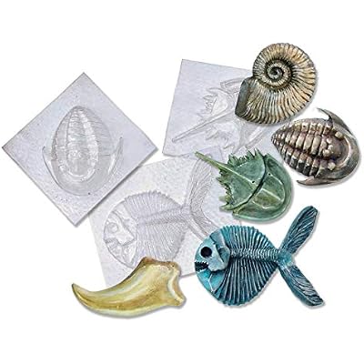 Roylco R52002 Roylco Fossil Molds 5 Designs