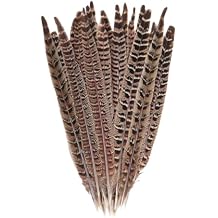 10 Pcs Long Pheasant Tail Feathers Natural Pheasant Feathers Floral Arrangement Feathers Feather Wedding Centerpiece Home Party Decorations