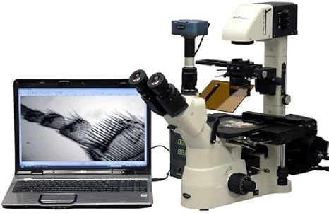 AmScope IN480TC-FL-BWF Digital Long Working-Distance Inverted Fluorescence Trinocular Microscope, 40x-1500x, WH10x Plan and WH25x Super-Widefield Eyepieces, Brightfield and Phase-Contrast Objectives, 30W Halogen Illumination, 0.3 NA Kohler Condenser, Mechanical Stage, 90V-240V, Includes 1.4MP Peltier-Cooled Fluorescence Video Camera and Software