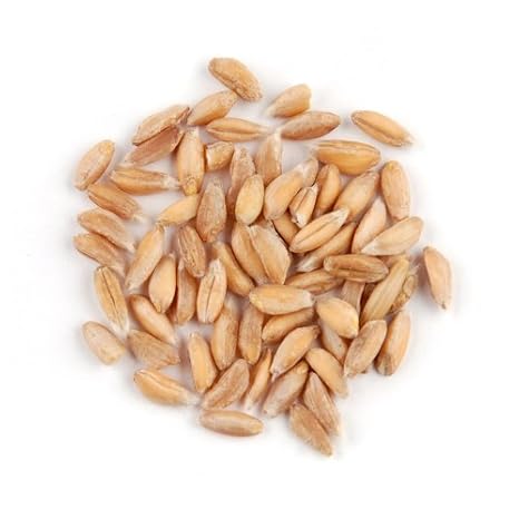 Spelt, 10 Pound Box