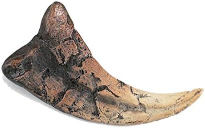 Utahraptor Claw Replica