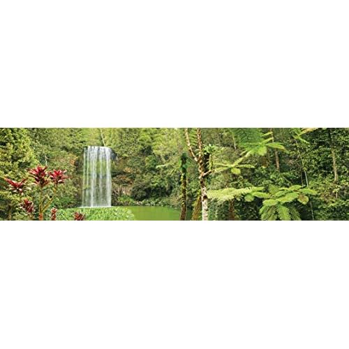 CAROLINA CUSTOM CAGES Reptile Habitat Background; Rain Forest, Waterfall, Red Leaves, for 36Lx24Wx24H Terrarium, 3-Sided Wraparound
