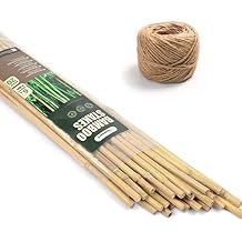 Cambaverd Bamboo Garden Stakes 6 Feet Natural Plant Stakes with 200 Feet 3 mm Heavy Duty Garden Twine for Gardening Plant Supports-20 Pack Bamboo Poles