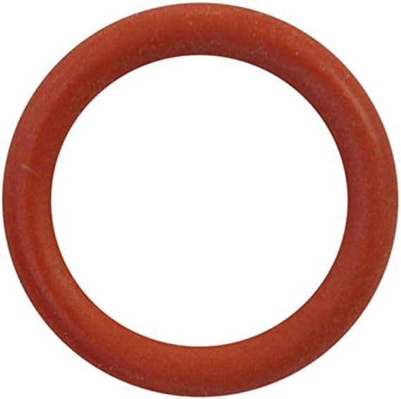 Saeco 996530013454 (140320762) Or 108 In Silicone
