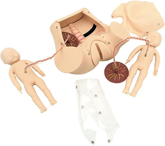 Labor and Birth Demonstration Set - Childbirth Simulator - Female Pelvis Childbirth Model - Midwifery Training Model - Includes Models of Baby