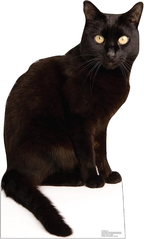 Cardboard People Black Cat Life Size Cardboard Cutout Standup - Made in USA