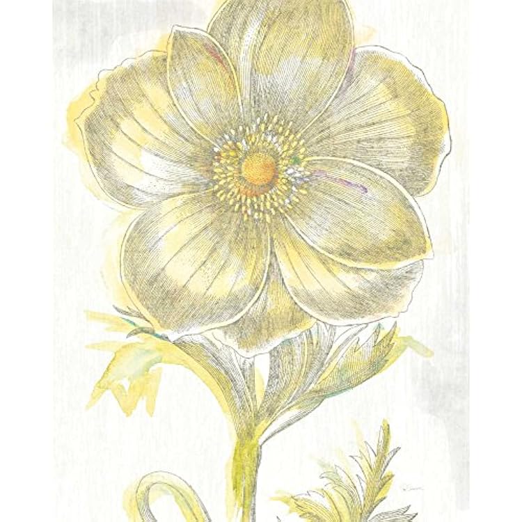 ArtExpert Belle Fleur Yellow II Crop by Sue Schlabach - 16x20 Art Print Poster