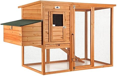 Confidence Pet Large Chicken Coop/Hen House with Outdoor Run