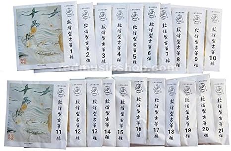 Dunhuang Nylon Guzheng Strings, Type A, 1 Set, 1 - #21