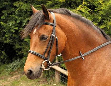 Windsor Equestrian Horses Bridle Black Cob