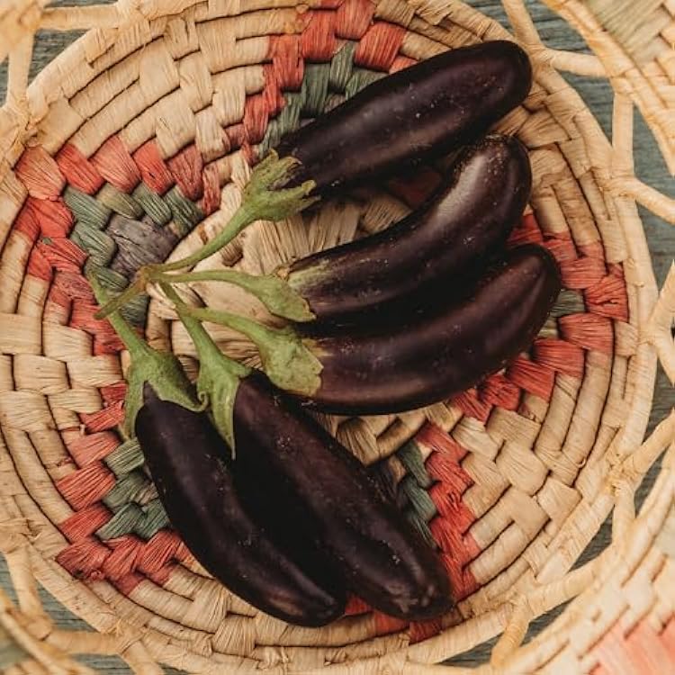 Little Fingers Eggplant - 50 Seeds - Heirloom & Open-Pollinated Variety, Non-GMO Vegetable Seeds for Planting Indoors or Outdoors in Containers or The Home Garden, Thresh Seed Company