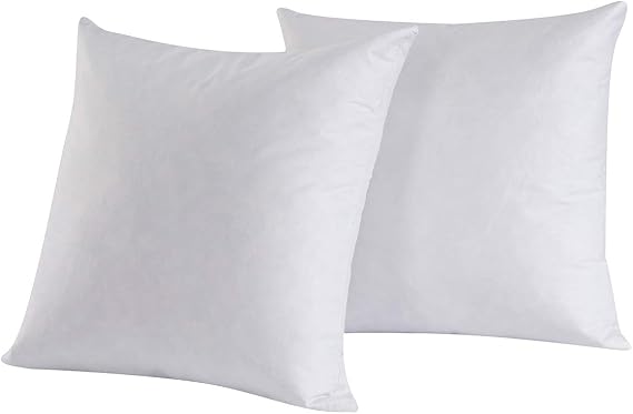 Set of 2 Feather and Down Pillow Insert, 14x14 Square Decorative Throw Pillow Insert, Cotton, White