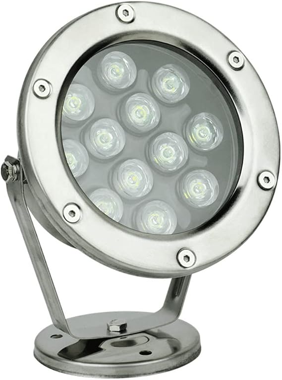 Braiton LED Underwater Pool Fountain Spotlight Low Voltage 24V Pond Light Submersible LED Pond Spot Lights,Red,12W