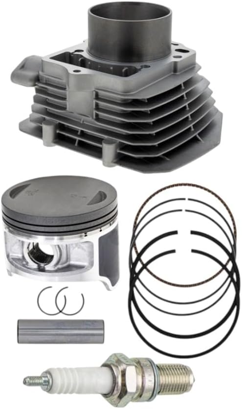 Cylinder kit, Replaces MK1012015 Mod-8TP-29687