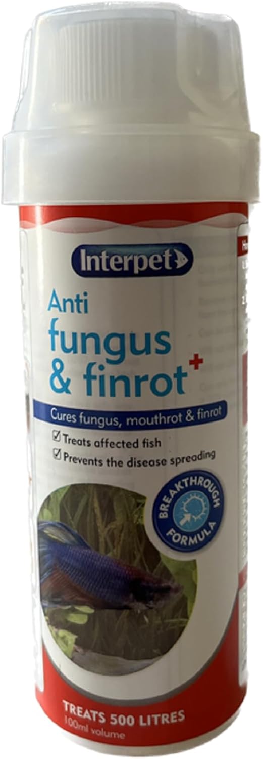 Interpet Anti Fungus and Finrot Aquarium Fish Treatment, Treats Affected Fish, Prevents Disease Spreading, 100 ml, Treats 500 litres