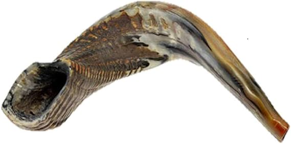 Kosher Shofar 9"-11" Half Polished Natural Israel New