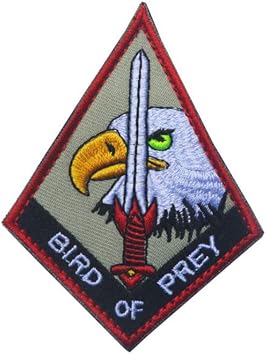 OYSTERBOY USAF Air Force Area 51 Military Black Ops Bird of Prey Mcdonnell Douglas Aviation Tactical Patch Hook & Loop