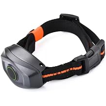 Electronic Training Collar for Dogs, Waterproof, Remote Control, Adjustable