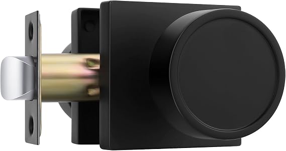 Goldenwarm Matte Black Door Knobs Passage, Closet Door Knob Zinc Alloy, Contemporary Black Interior Door Knobs for Hallway, 1 Pack