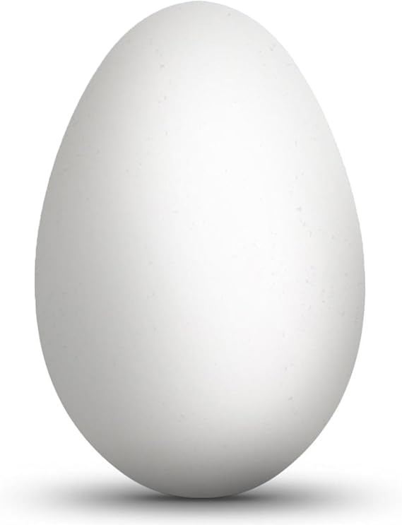Empty Blown Hollow Goose Eggshell for Pysanky Easter Egg Decorating 3.5 In