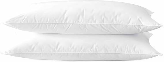 Acteb Ultra Thin Flat Soft Bed Pillows Queen Size Set of 2 Pack for Sleeping 20"x30", Hypoallergenic Skin Friendly Machine Washable