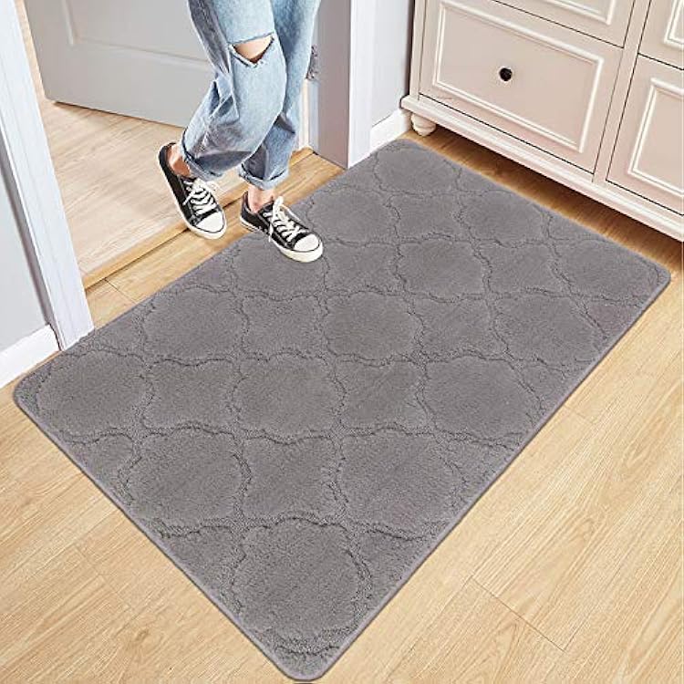 Cekene Doormat Indoor Large Front Door Mat Entrance Outdoor Machine Washable Floor Door Mat Welcome Mats for Front Door,24x36