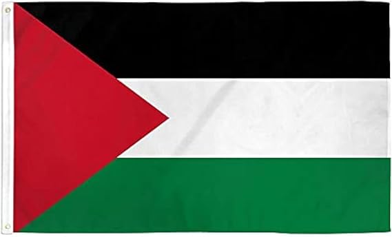 Palestine Flag 2x3ft Poly