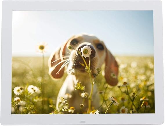 15inch Digital Photo Frame, HD Portable Digital Picture Frame of High Resolution with Remote Control Function of Music/Video Player/Calendar (White US)
