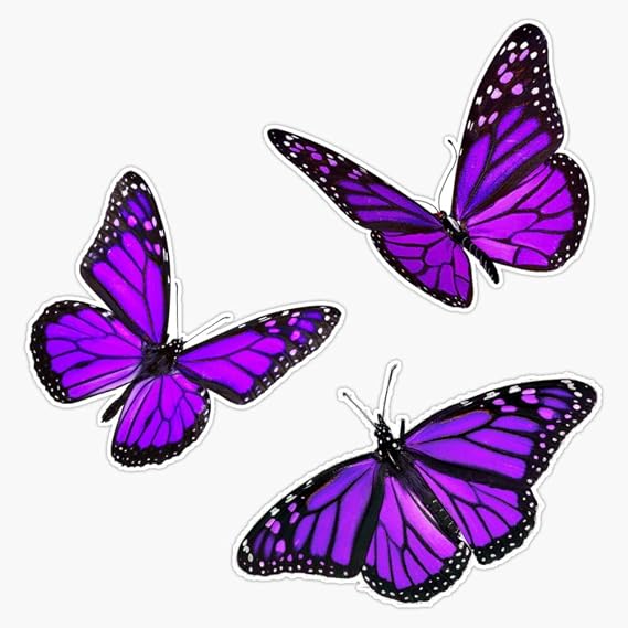 monarch butterfly pack purple Sticker Vinyl Bumper Sticker 6 Mil Thick - Size 5"