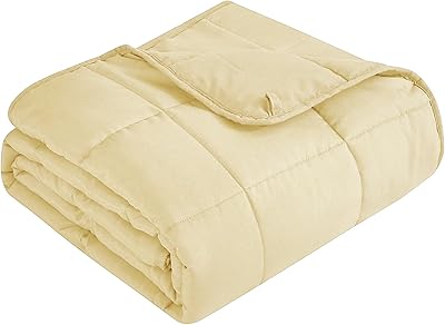 Topcee Weighted Blanket for Adults 15 lbs, 48 x 72 Twin Size Soft Cooling Heavy Blanket Sleeping, Apply to 130-160 lbs Body, Thick Breathable Blanket with Glass Bead, Easy Care