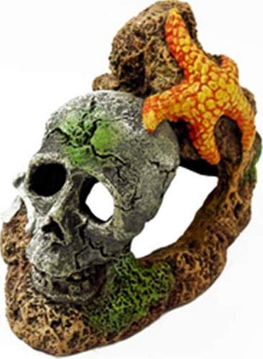 Blue Ribbon PET Products 006052 Exotic Environments Skull with Starfish