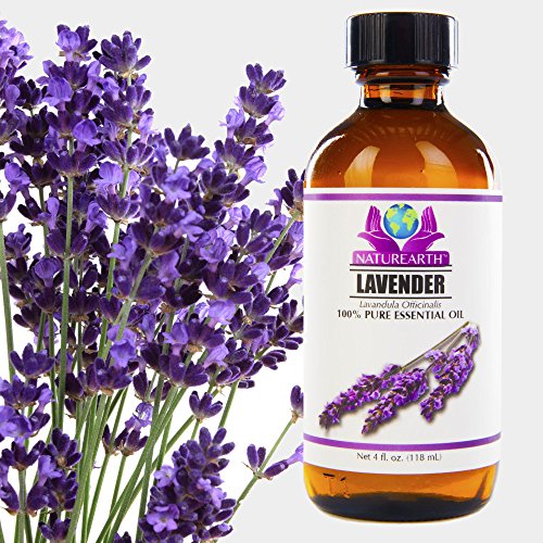 NaturEarth French Lavender Oil 4 oz 100% Pure Premium Essential Oil w