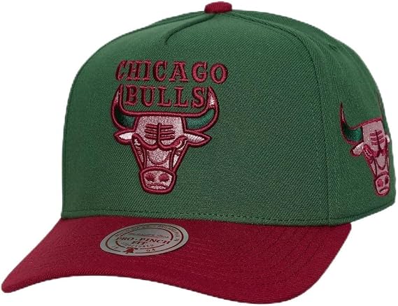 Mitchell & Ness Men's NBA Pro Snapback Hat