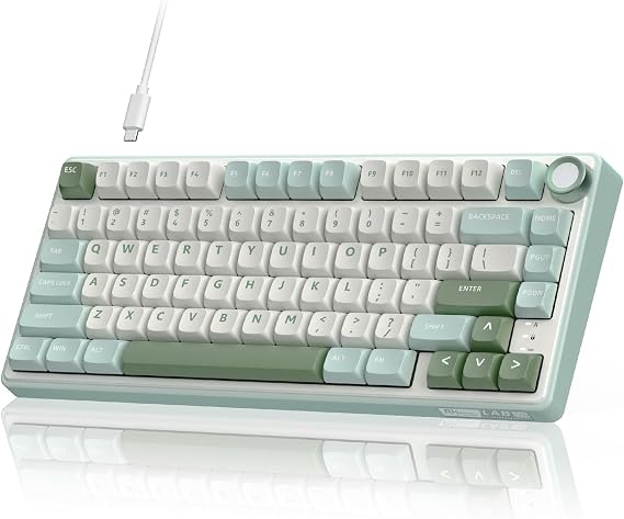 RK ROYAL KLUDGE R75 Mechanical Keyboard Wired with Volume Knob, 75% Keyboard Gasket Mounted, RGB Backlit, Creamy Keyboard with MDA Profile, PBT Keycaps, Hot Swappable Pre-lubed Tactile Switch