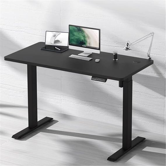 Electric Height Adjustable Standing Desk, 120 X 60Cm Stand Up Table with Adjustable Memory Heights,Wooden Ergonomic Computer Desk for Home Office (Black)