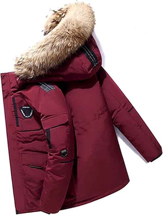 Men's Down Jacket Big Goose Autumn And Winter Thickened Coat Canada Style Warm Snow Coat Jacket With Hood,S-2XL(Red,L)